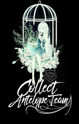 Collect by Antelope Team