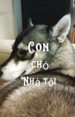 Con chó nhà tôi