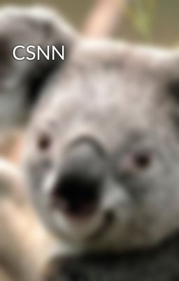 CSNN