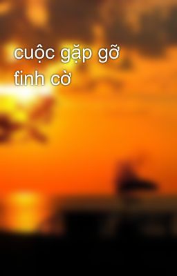 cuộc gặp gỡ tình cờ