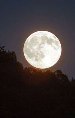 .....cúp điện đêm trăng tròn......
