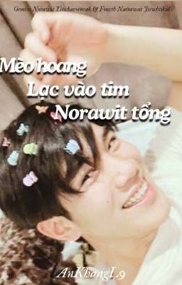 [CV : GeminiFourth] Mèo Hoang Lạc Vào Tim Norawit Tổng