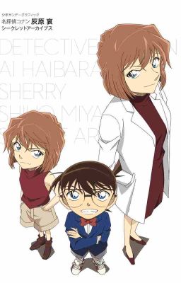 [Detective Conan/Case Closed fanfic] AllSherryAll Collection