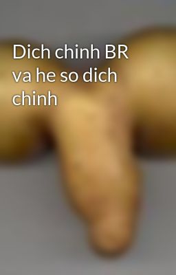 Dich chinh BR va he so dich chinh