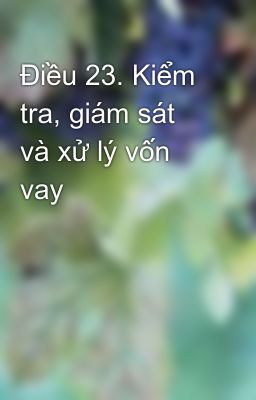 Điều 23. Kiểm tra, giám sát và xử lý vốn vay