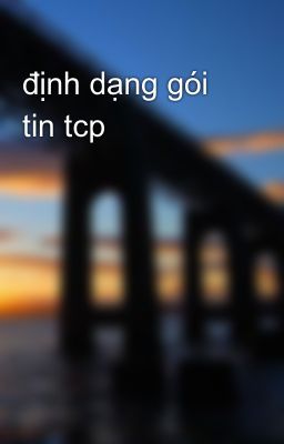 định dạng gói tin tcp