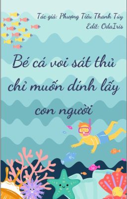 (ĐM) Bé cá voi sát thủ chỉ muốn dính lấy con người