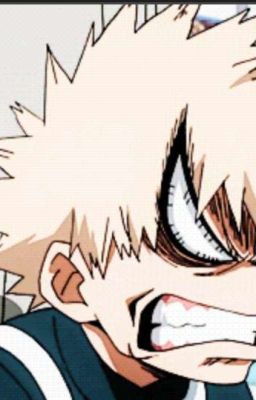 Đọc Truyện [ ĐN BNHA] Câu chuyện về cô gái mang ước vọng bảo vệ mọi người - Truyen2U.Net