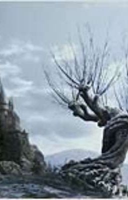 Đọc Truyện [Đn Harry Potter] Cây Liễu Roi - Truyen2U.Net