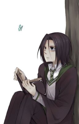 Đọc Truyện (ĐN Harry  Potter) Cháu chắt chút chít của ngài Slytherin - Truyen2U.Net