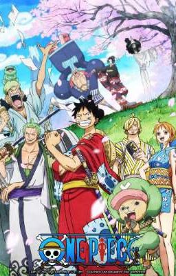 Đọc Truyện [ĐN One Piece] đồng đội của vua hải tặc là ta - Truyen2U.Net