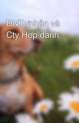 DNTưnhân và Cty Hợp danh