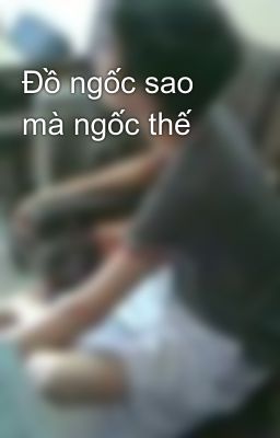 Đồ ngốc sao mà ngốc thế