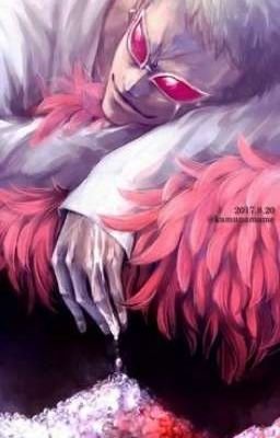 (Doflamingo x reader) yêu rồi ~!