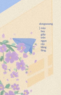 Dongwoong | máy bay giấy trên ngọn cây bằng lăng