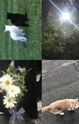doubledate↫jufa.rasco