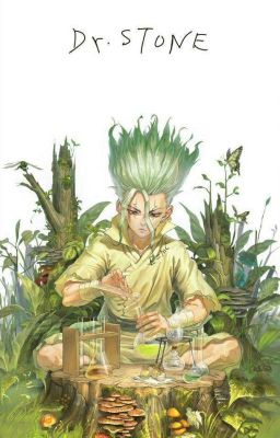 Đọc Truyện 《Dr.Stone》Chào mừng đến với thế giới của đá - Truyen2U.Net