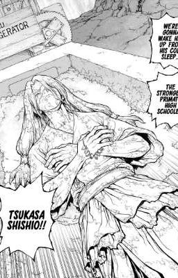 <Dr.STONE> [TsukaSen] Hoàng tử ngủ trong rừng - Akkichan