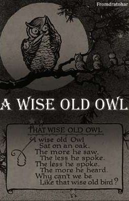 Đọc Truyện [DraHar] A wise old owl - Truyen2U.Net