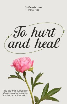 [Drarry|Dịch|Hoàn] To Hurt and To Heal - Cassis Luna
