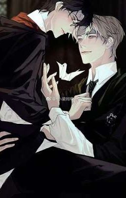 Drarry | Draco x Harry | Love you...