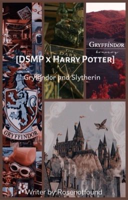 Đọc Truyện [DSMP x Harry Potter][Quackbur][Drarry]Slytherin And Griffindor - Truyen2U.Net