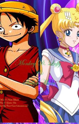 EDIT [SailorMoon crossover One Piece]The Princess & The Pirate