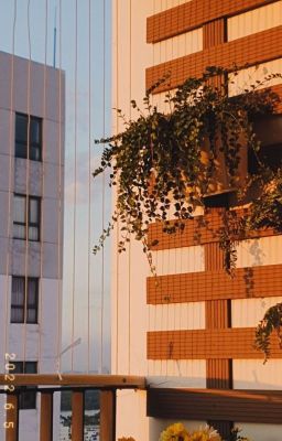 [ElsuYorn] Nhật kí yêu đương bất ổn.