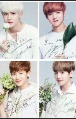 Đọc Truyện [FANFIC] [EXO] [CHANBAEK HUNHAN] Tình yêu là vậy đó - Truyen2U.Net