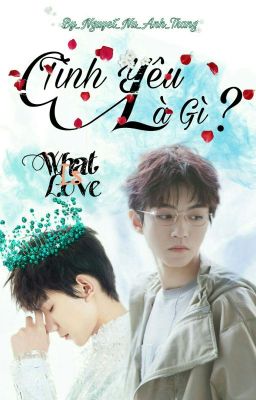 [Fanfic][ Khải Nguyên ] What Is Love _ Tình Yêu Là Gì ?