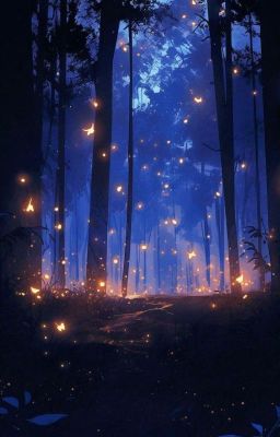 Firefly In Darkness