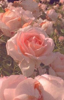 Florescence | Soraru x Mafumafu
