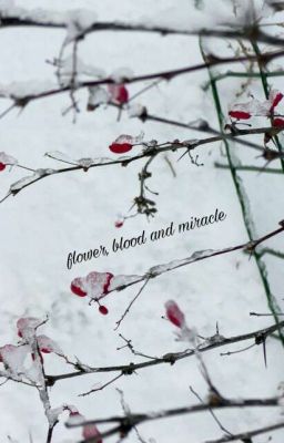 Flower, Blood and Miracle.