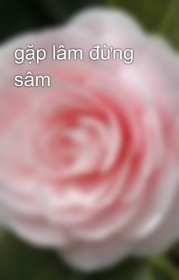 gặp lâm đừng sâm