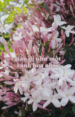 giản dị như một cánh hoa nhài [drop]