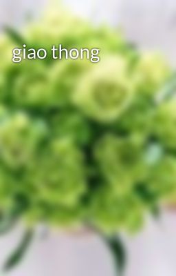 giao thong