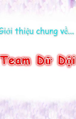 Giới Thiệu Chung Về Team Dữ Dội