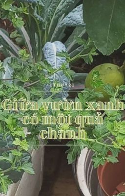 Giữa Vườn Xanh Có Một Quả Chanh