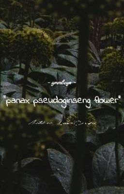 gmmboys | panax pseudoginseng flower |