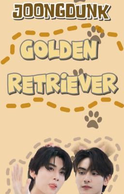 Golden Retriever | JoongDunk