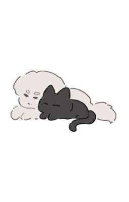 [ GyuHao ] Tiệm ảnh và cún lớn mèo đen