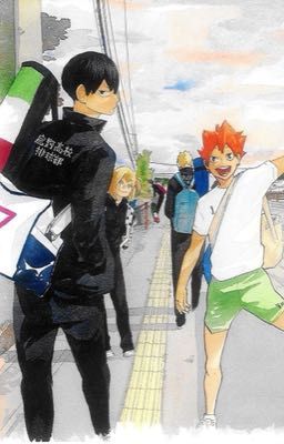 | Haikyuu x reader | 𝐿𝑜𝑣𝑒 𝑆𝑡𝑜𝑟𝑦