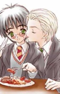 [ Harry Potter ] HP thời gian thất cách_Drarry