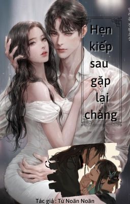 Hẹn kiếp sau gặp lại chàng