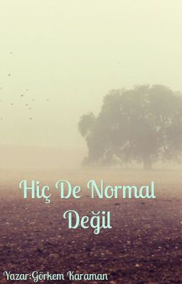 Đọc Truyện Hiçde Normal Değil - Truyen2U.Net