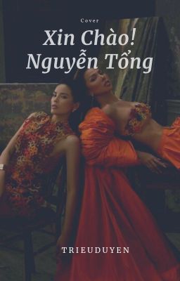 Đọc Truyện [Hoàn][LongFic]Xin chào! Nguyễn Tổng - Truyen2U.Net