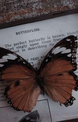 HoonSuk | Wicked Butterfly