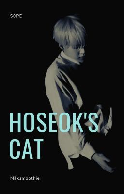 hoseok's cat