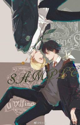 【HP】 『Drarry| Drahar』With You For Lifetime.