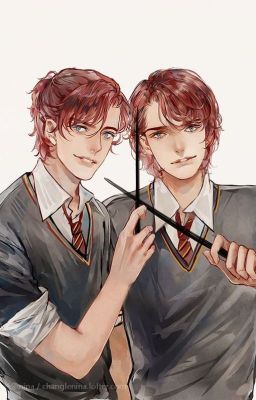 [HP] Tác loạn ở Hogwarts-Triều Túy